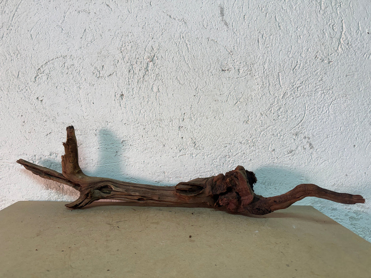 Drift Wood - 67*20*19 - cod.142 WHIMAR
