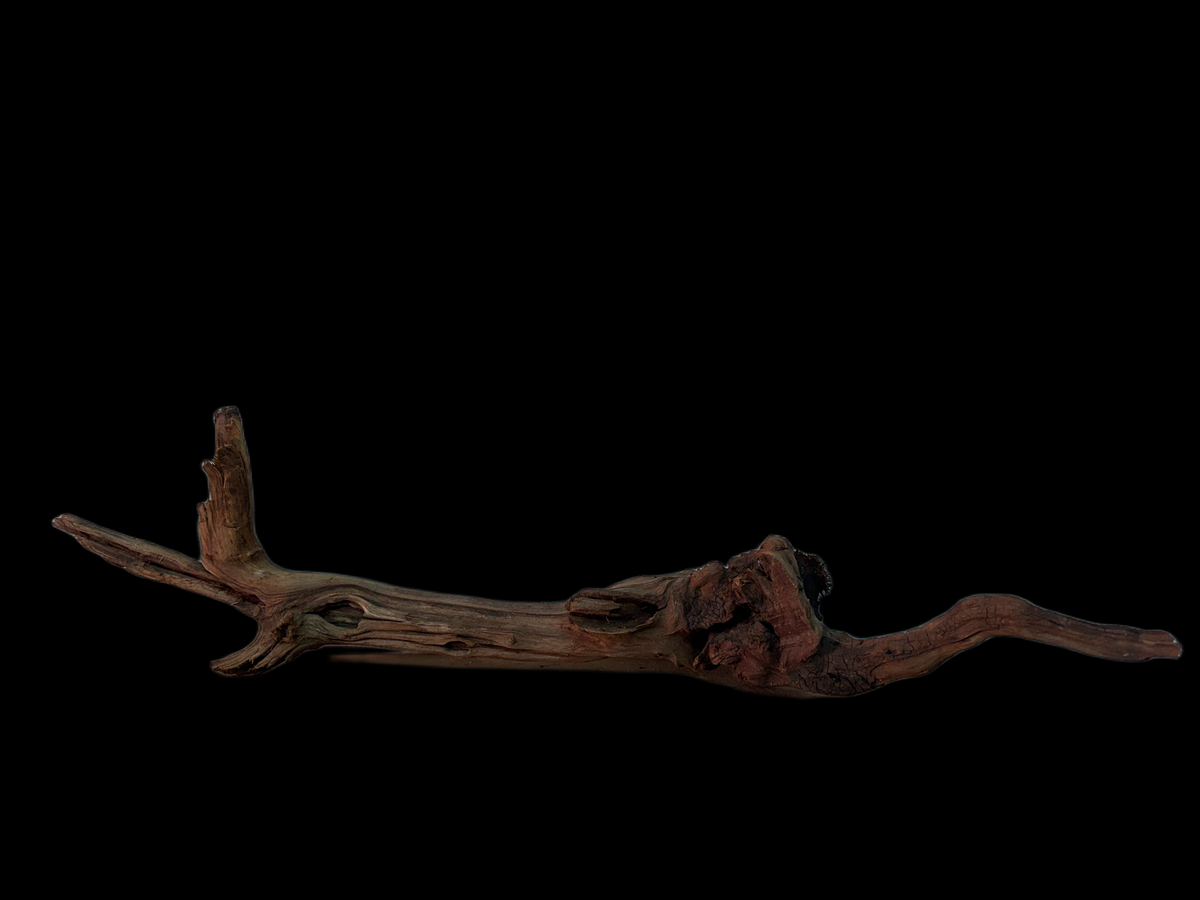 Drift Wood - 67*20*19 - cod.142 WHIMAR