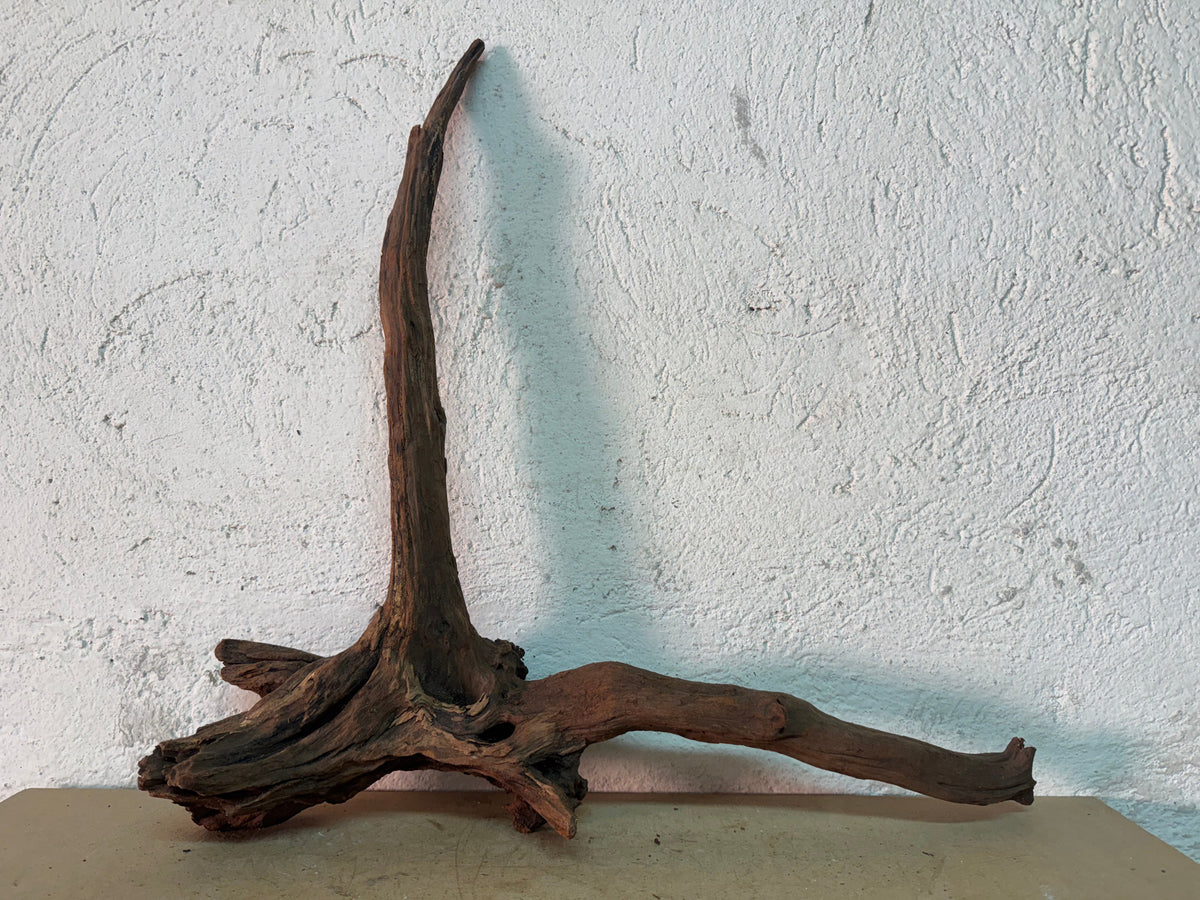 Drift Wood - 51*13*51 - cod.143 WHIMAR