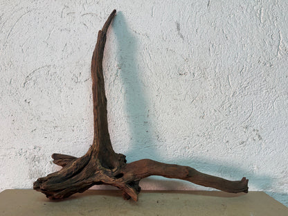 Drift Wood - 51*13*51 - cod.143 WHIMAR