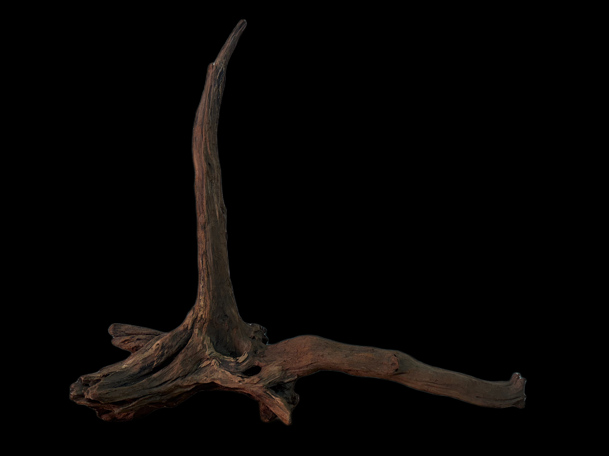 Drift Wood - 51*13*51 - cod.143 WHIMAR