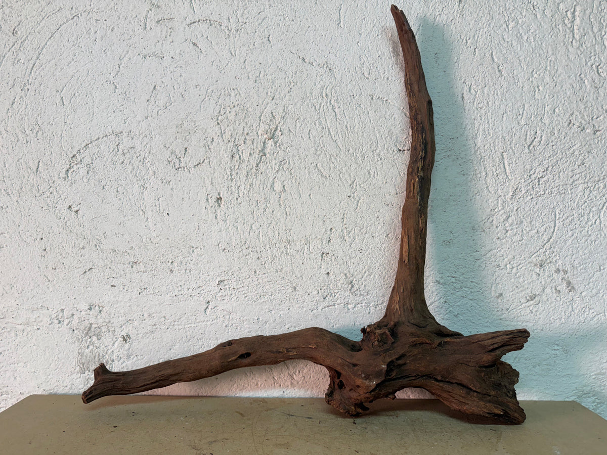 Drift Wood - 51*13*51 - cod.143 WHIMAR