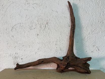 Drift Wood - 51*13*51 - cod.143 WHIMAR