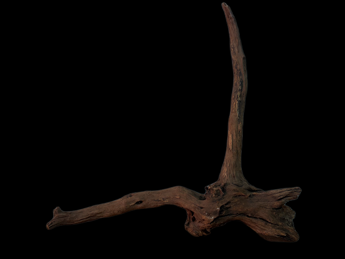 Drift Wood - 48*10*15 - cod.144 WHIMAR