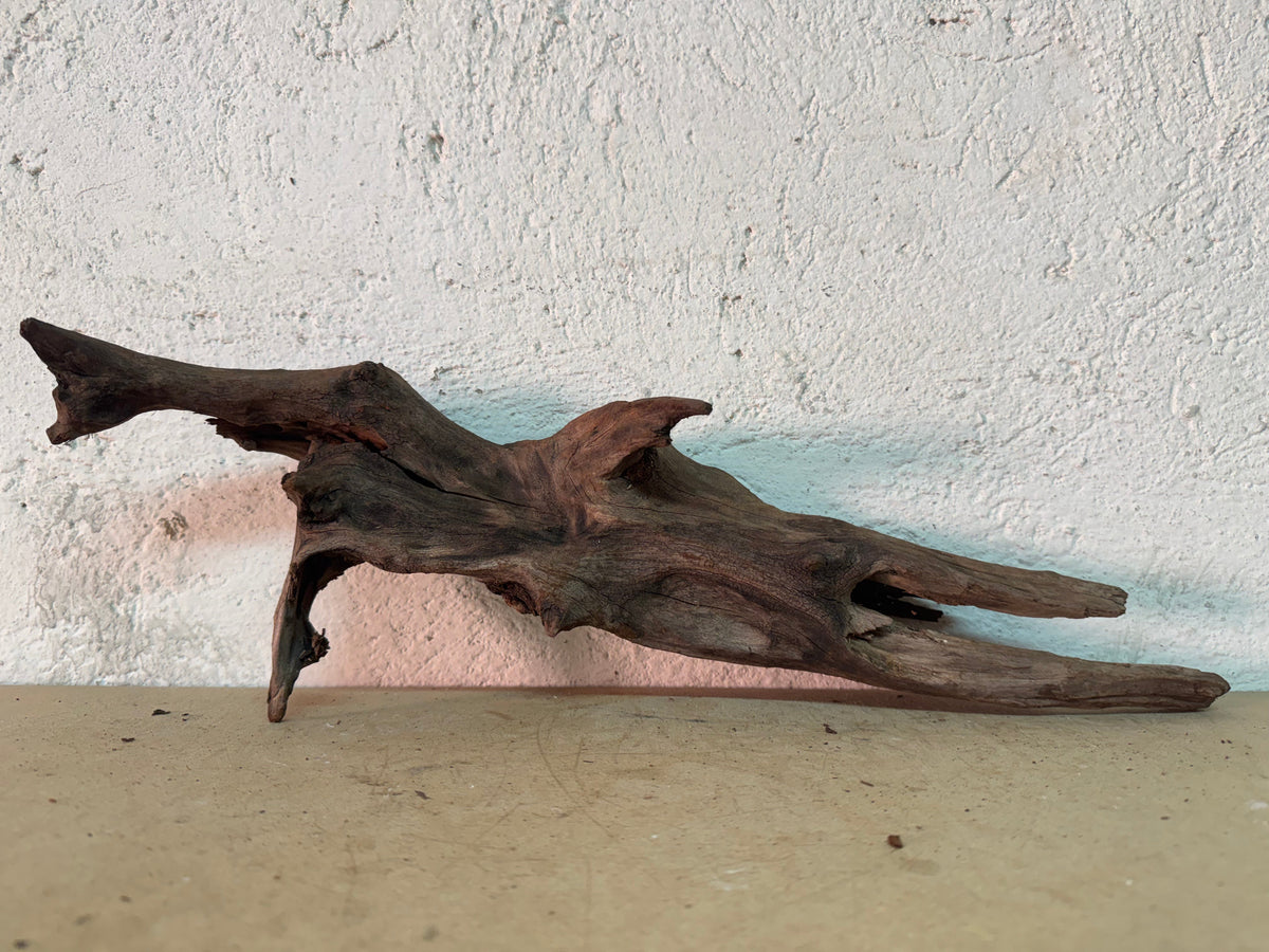 Drift Wood - 48*10*15 - cod.144 WHIMAR