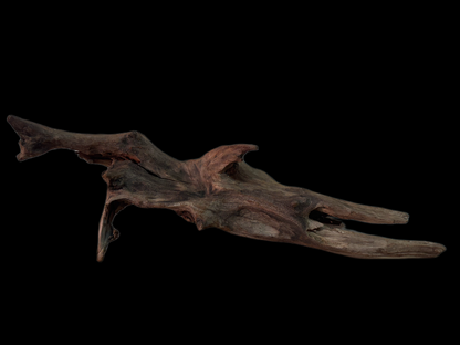 Drift Wood - 48*10*15 - cod.144 WHIMAR