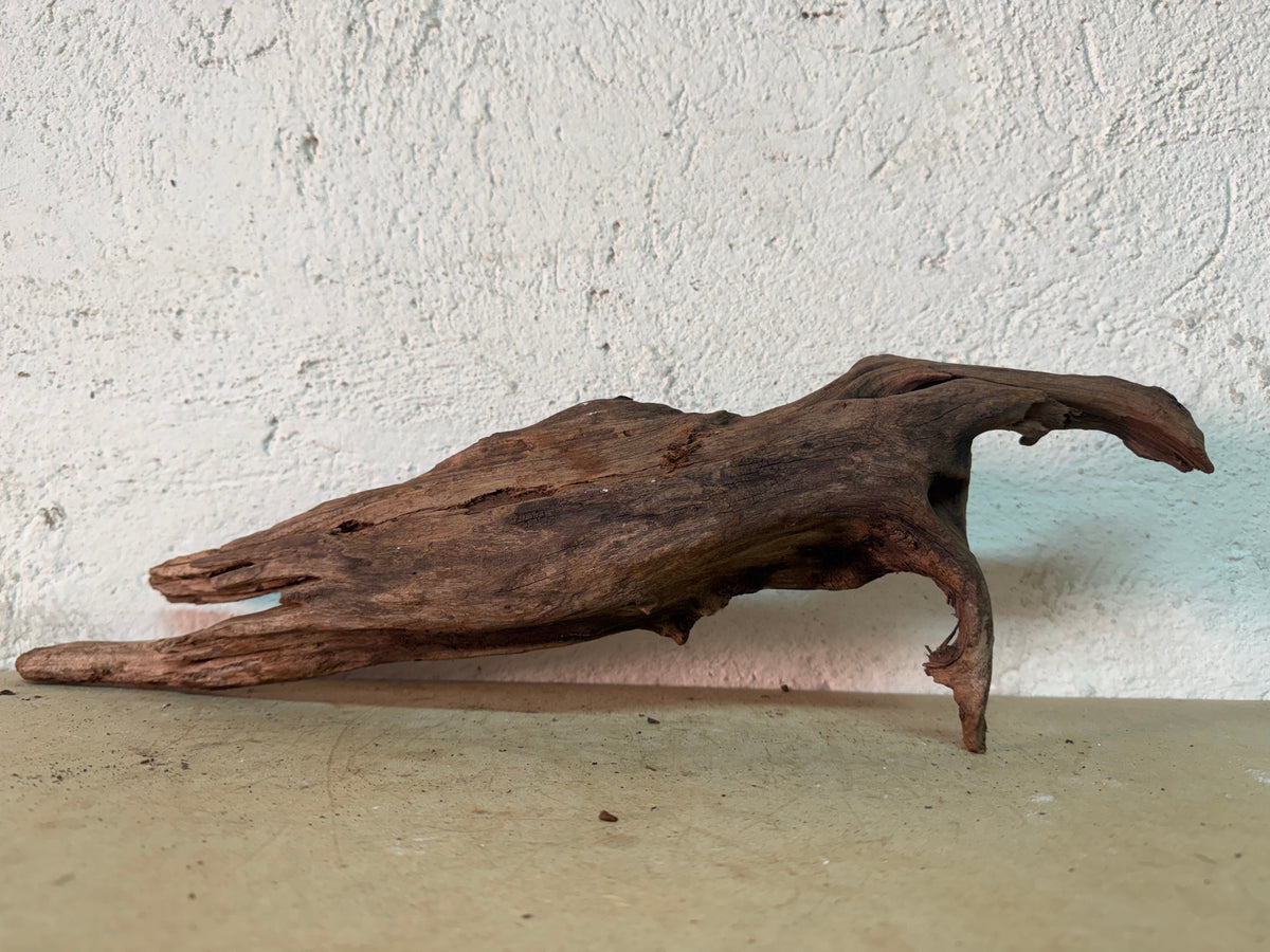 Drift Wood - 48*10*15 - cod.144 WHIMAR