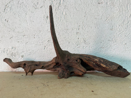 Drift Wood - 51*11*16 - cod.145 WHIMAR