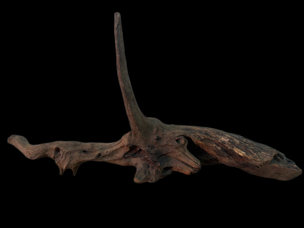 Drift Wood - 51*11*16 - cod.145 WHIMAR