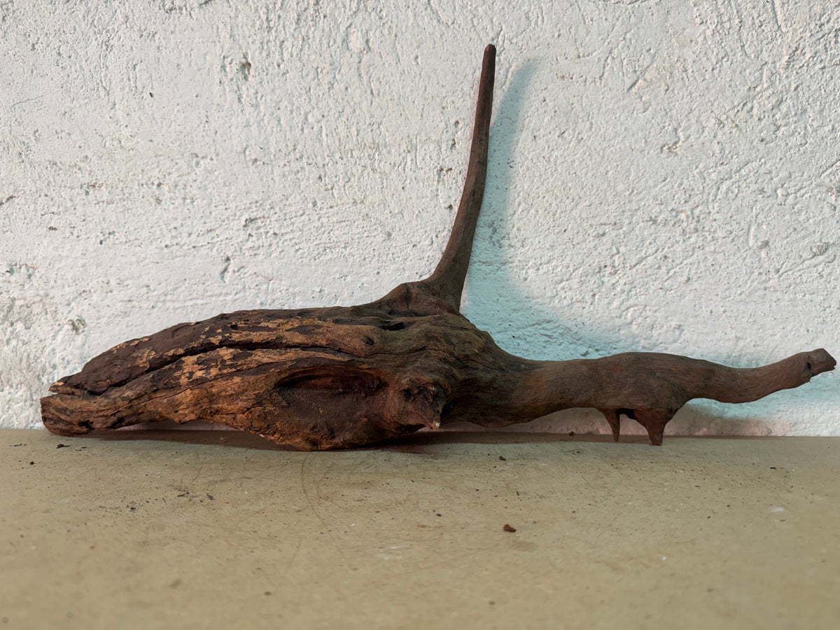 Drift Wood - 51*11*16 - cod.145 WHIMAR