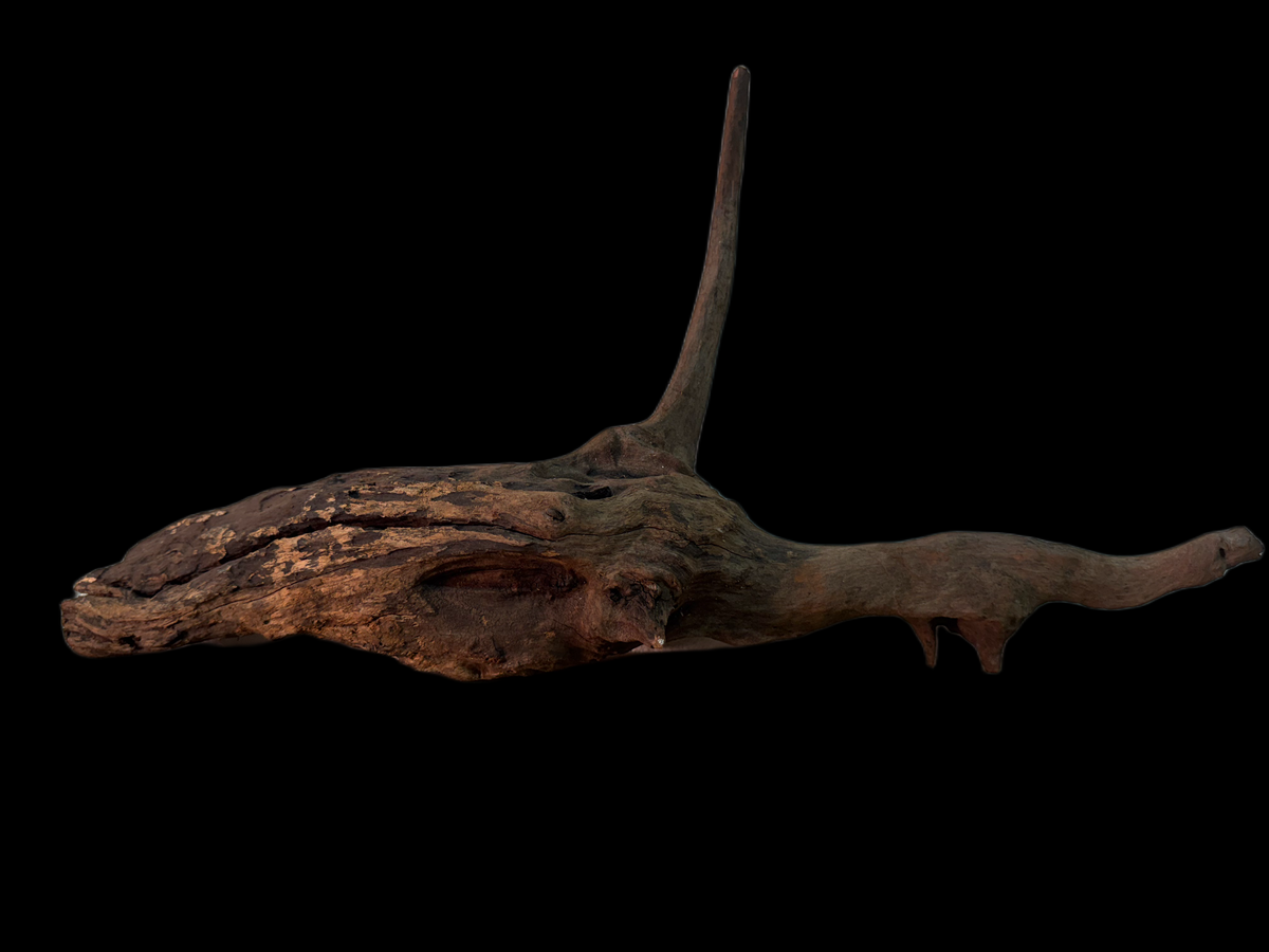 Drift Wood - 51*11*16 - cod.145 WHIMAR