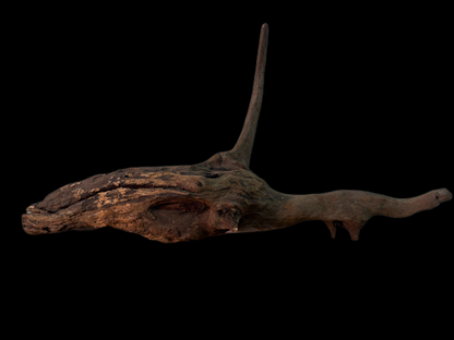 Drift Wood - 51*11*16 - cod.145 WHIMAR