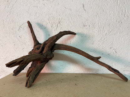 Drift Wood - 62*28*34 - cod.146 WHIMAR