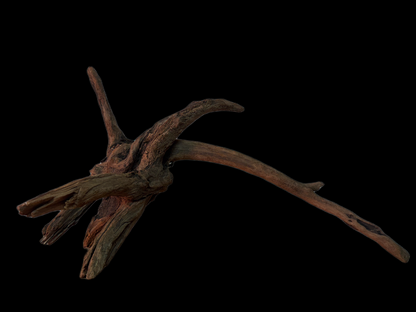 Drift Wood - 62*28*34 - cod.146 WHIMAR