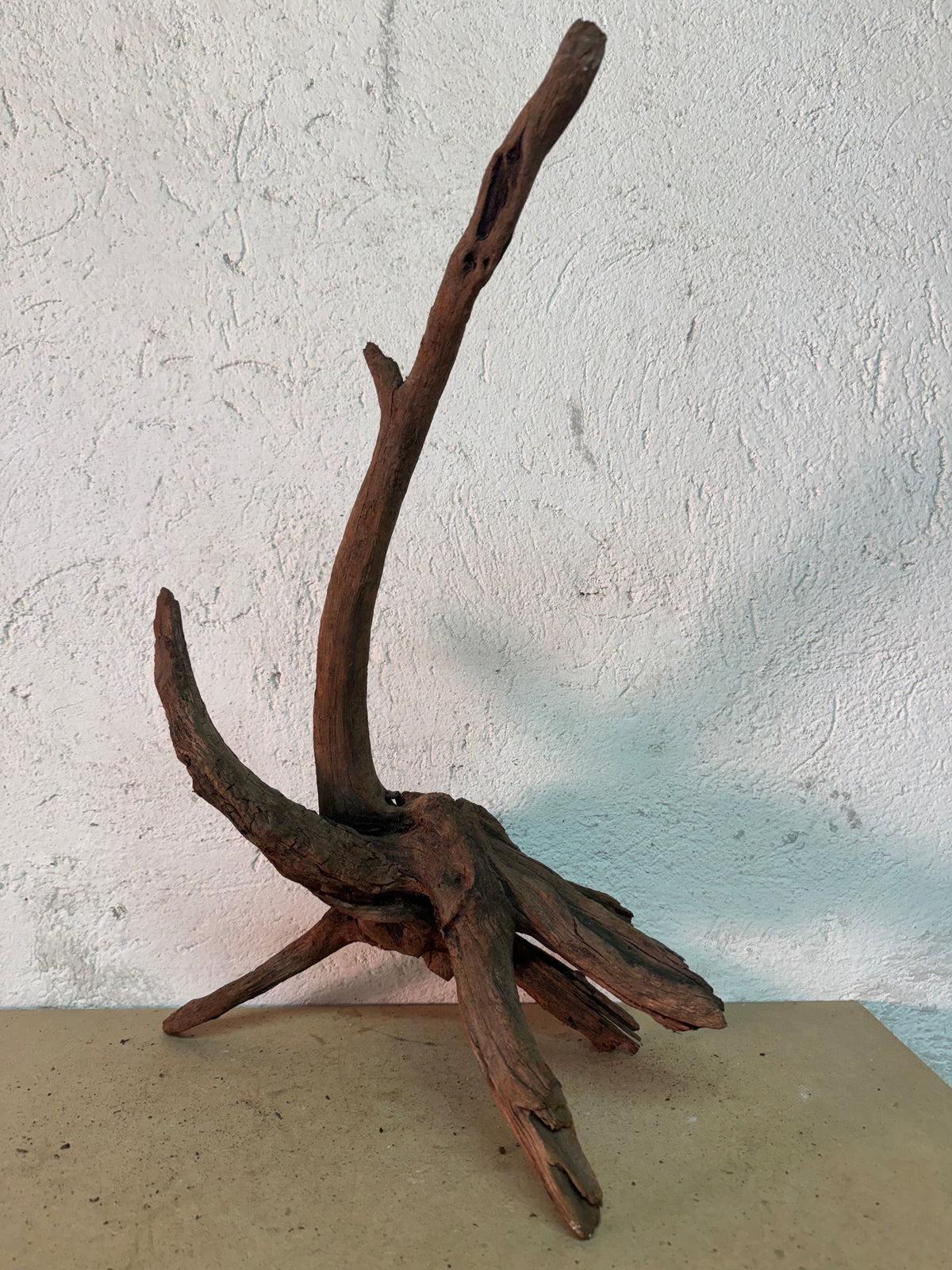 Drift Wood - 62*28*34 - cod.146 WHIMAR