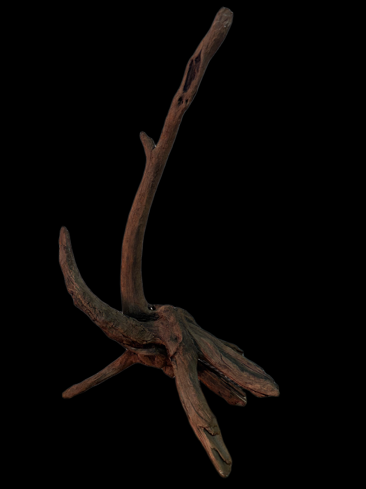 Drift Wood - 62*28*34 - cod.146 WHIMAR