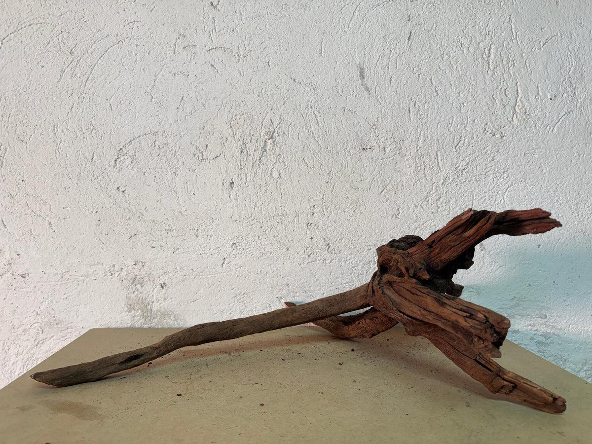 Drift Wood - 62*28*34 - cod.146 WHIMAR