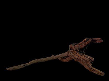 Drift Wood - 62*28*34 - cod.146 WHIMAR