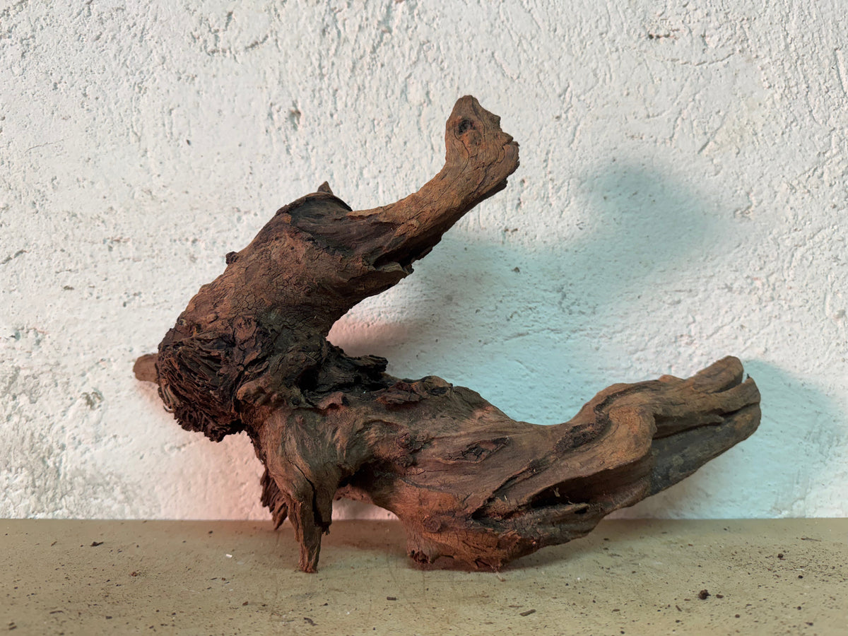 Drift Wood - 38*12*23 - cod.147 WHIMAR