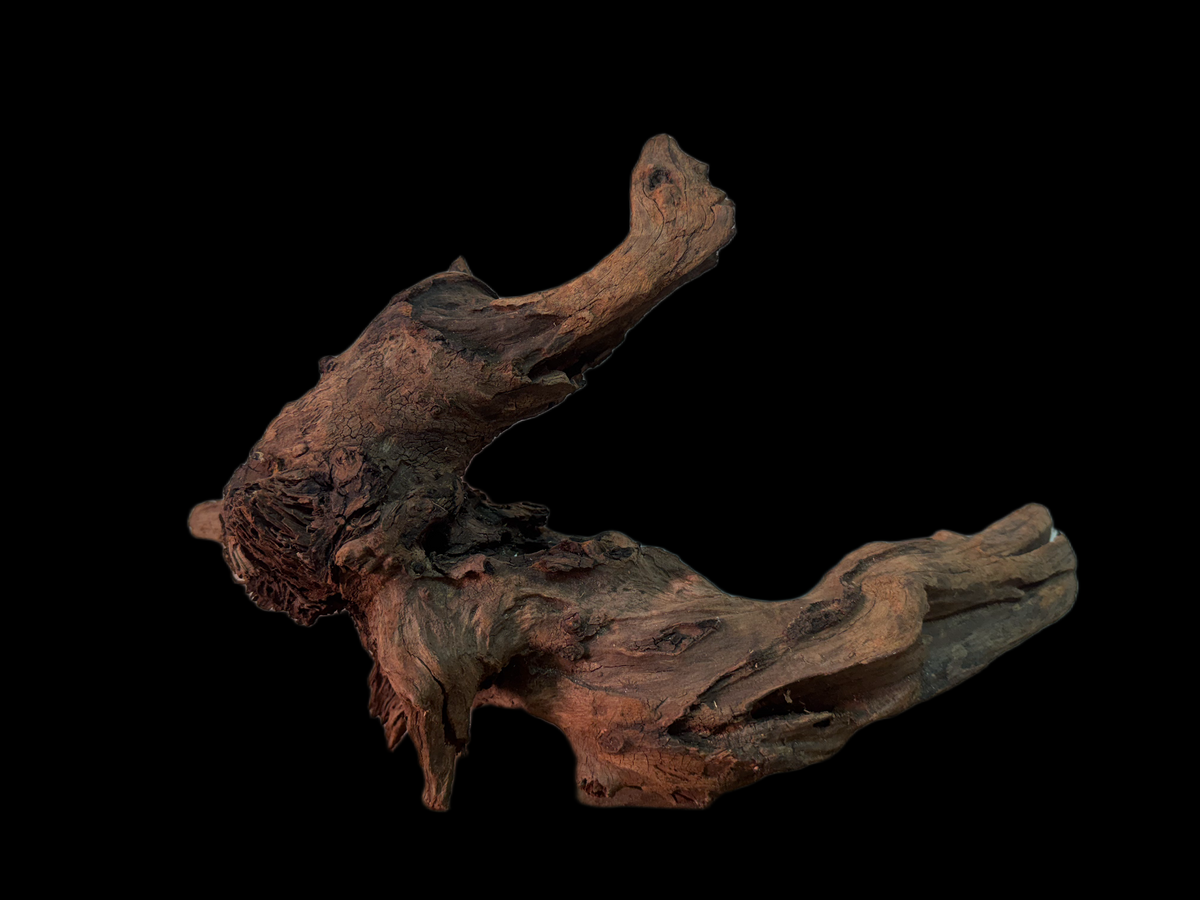 Drift Wood - 38*12*23 - cod.147 WHIMAR