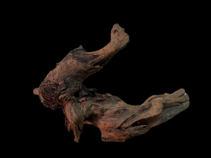 Drift Wood - 38*12*23 - cod.147 WHIMAR