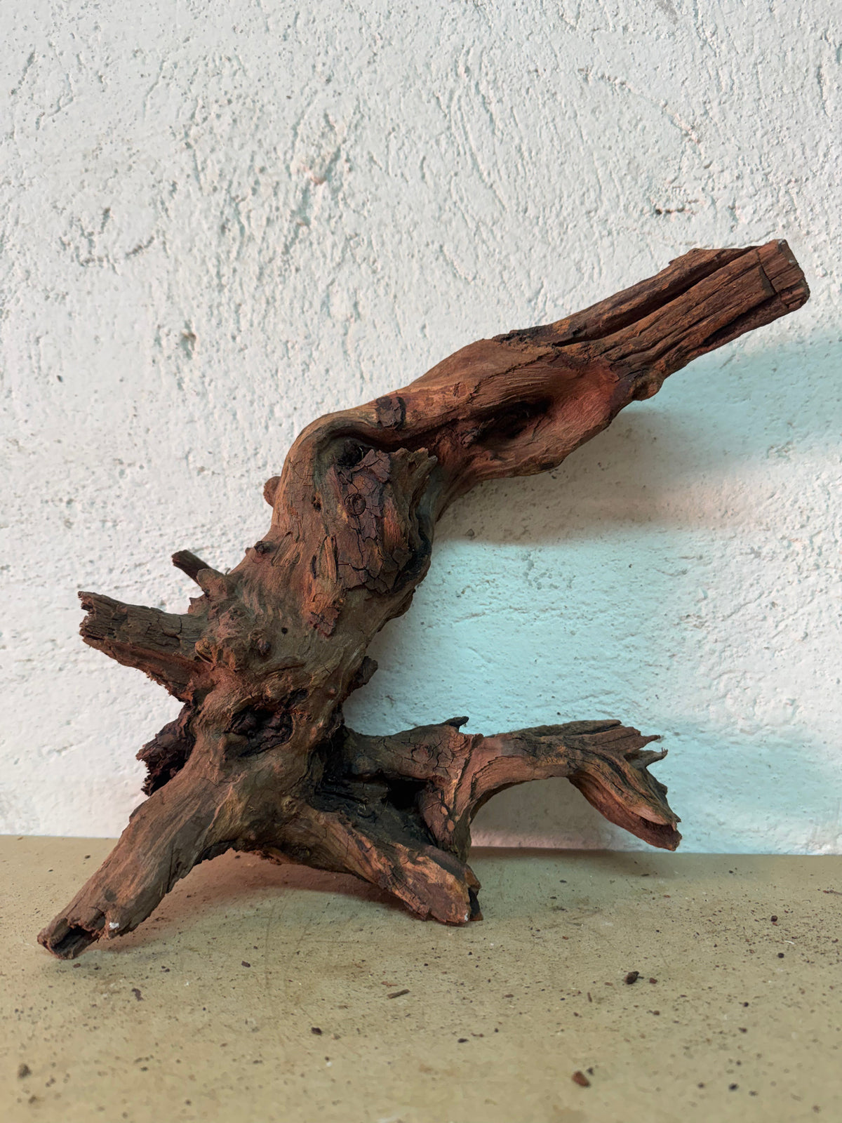 Drift Wood - 38*12*23 - cod.147 WHIMAR
