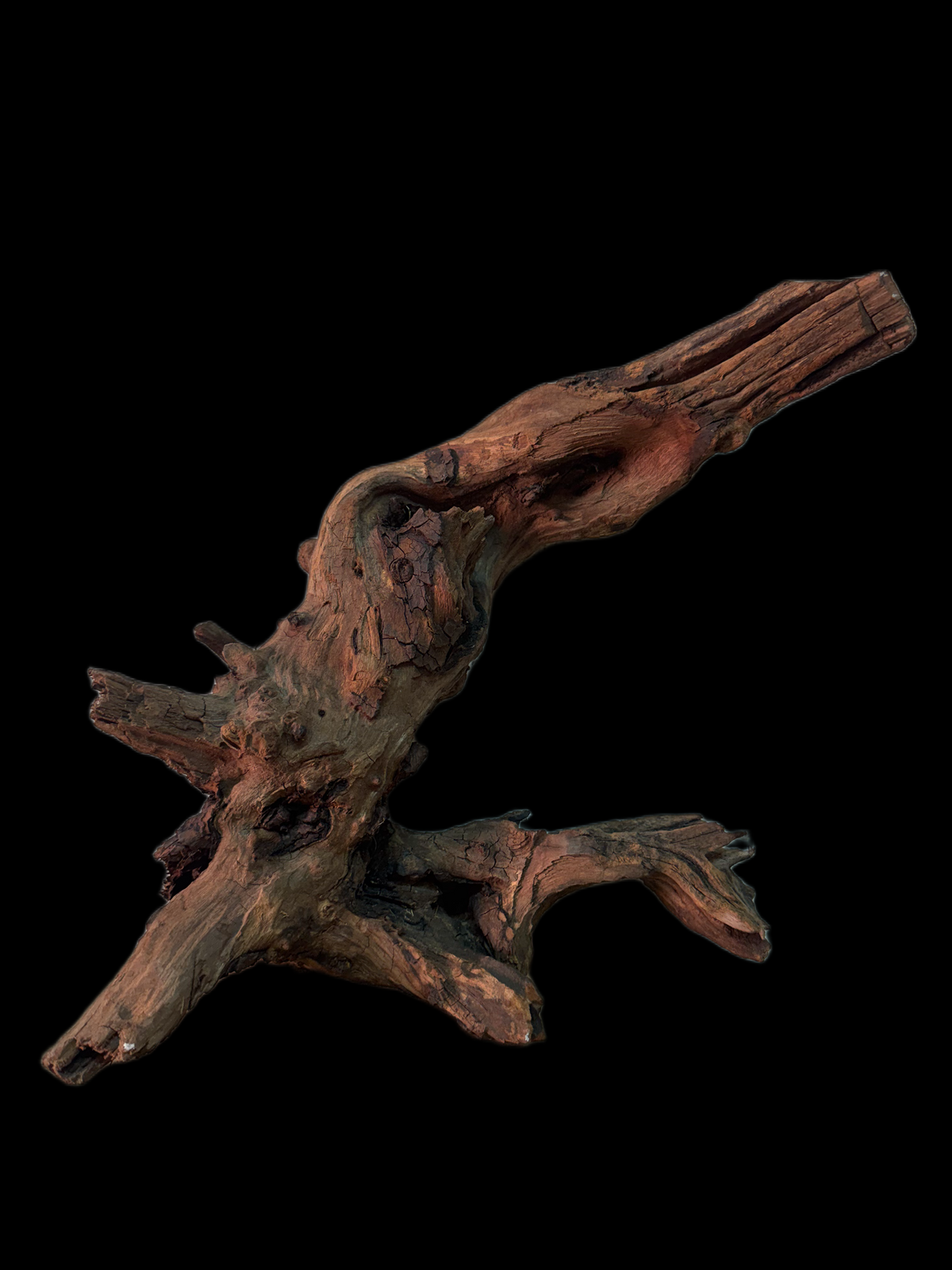 Drift Wood - 38*12*23 - cod.147 WHIMAR