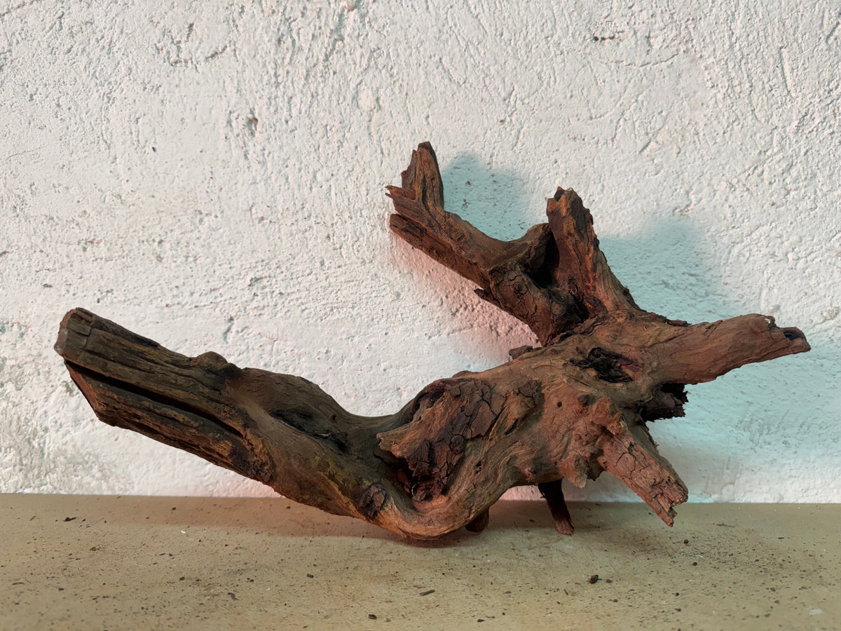 Drift Wood - 38*12*23 - cod.147 WHIMAR