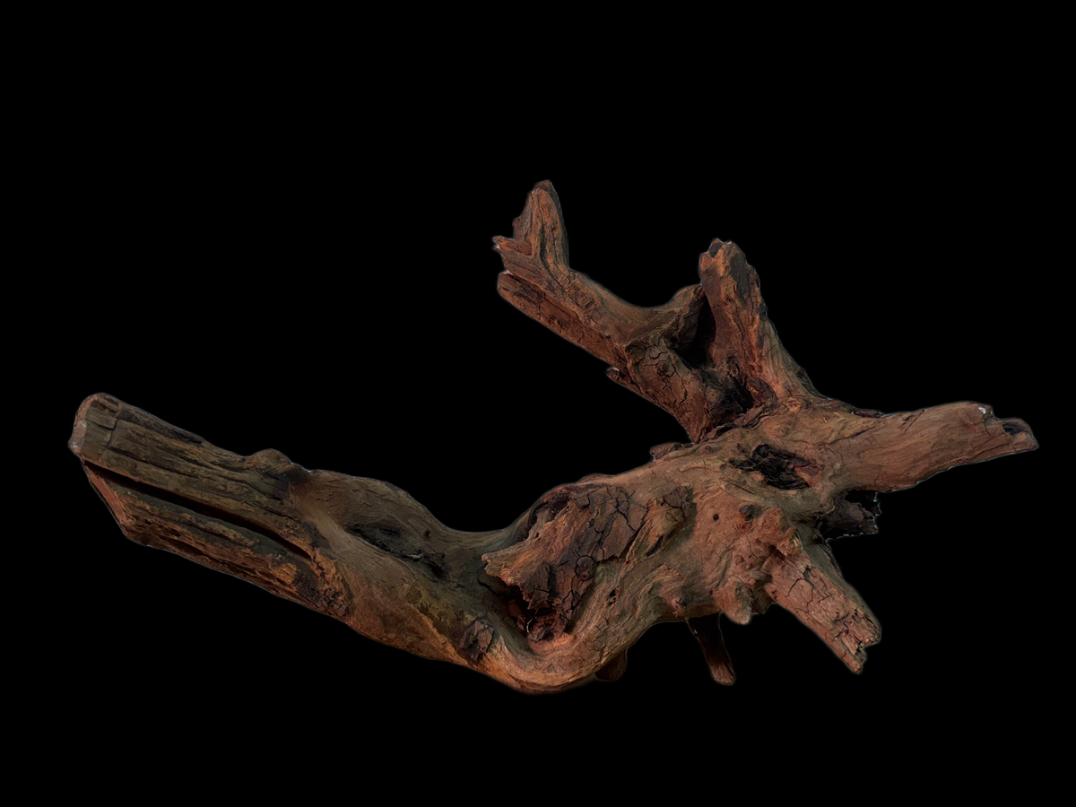 Drift Wood - 38*12*23 - cod.147 WHIMAR