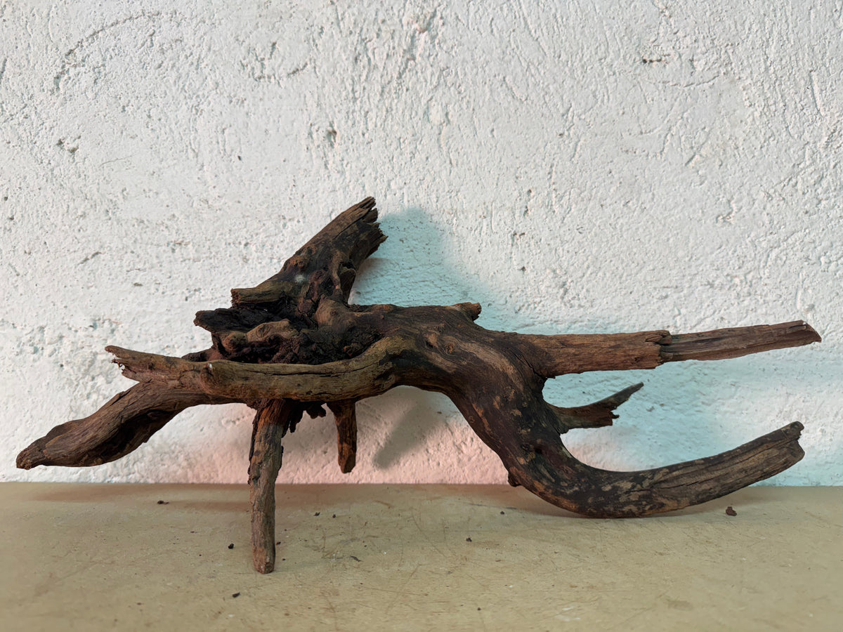 Drift Wood - 48*28*19 - cod.148 WHIMAR