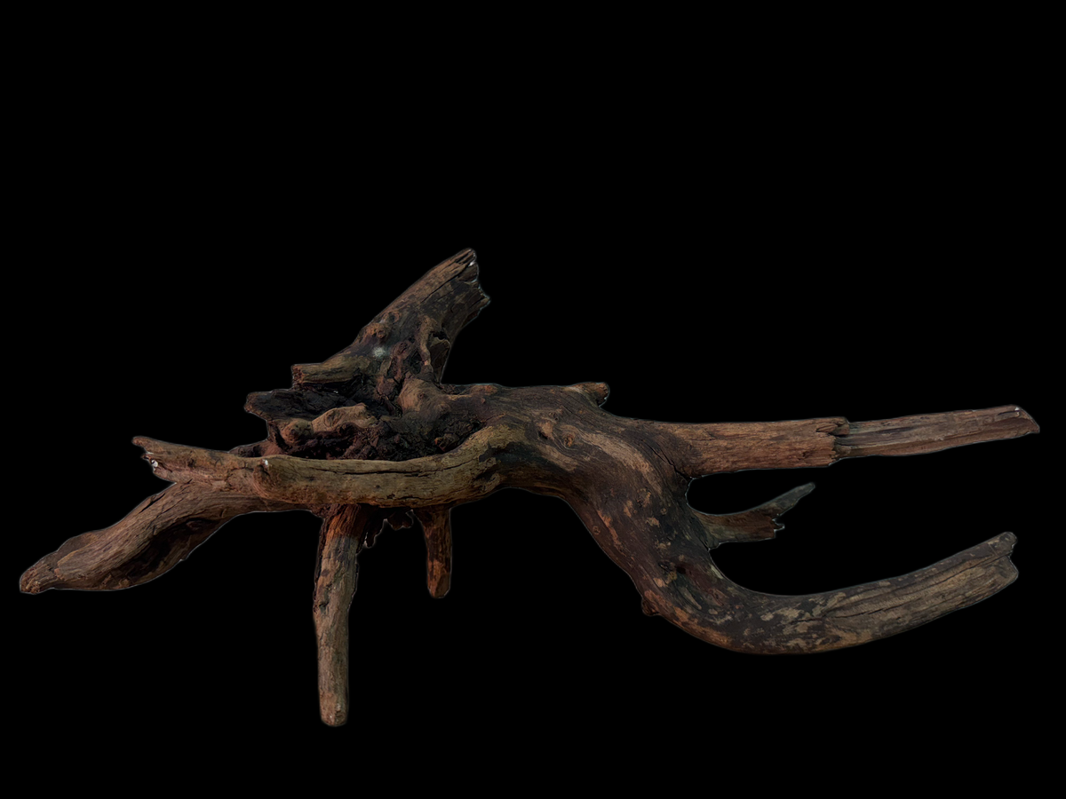 Drift Wood - 48*28*19 - cod.148 WHIMAR