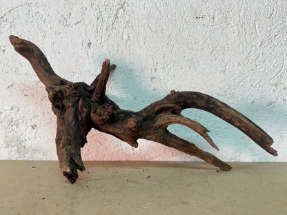 Drift Wood - 48*28*19 - cod.148 WHIMAR