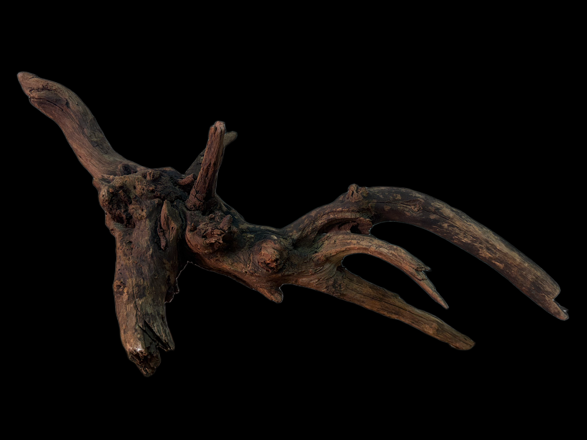 Drift Wood - 48*28*19 - cod.148 WHIMAR