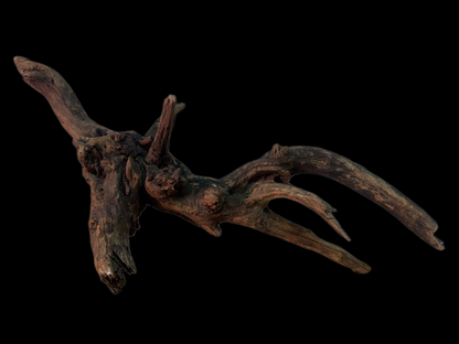 Drift Wood - 48*28*19 - cod.148 WHIMAR