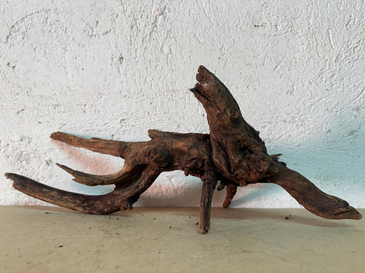 Drift Wood - 48*28*19 - cod.148 WHIMAR