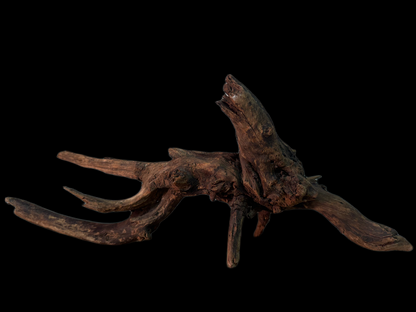 Drift Wood - 48*28*19 - cod.148 WHIMAR