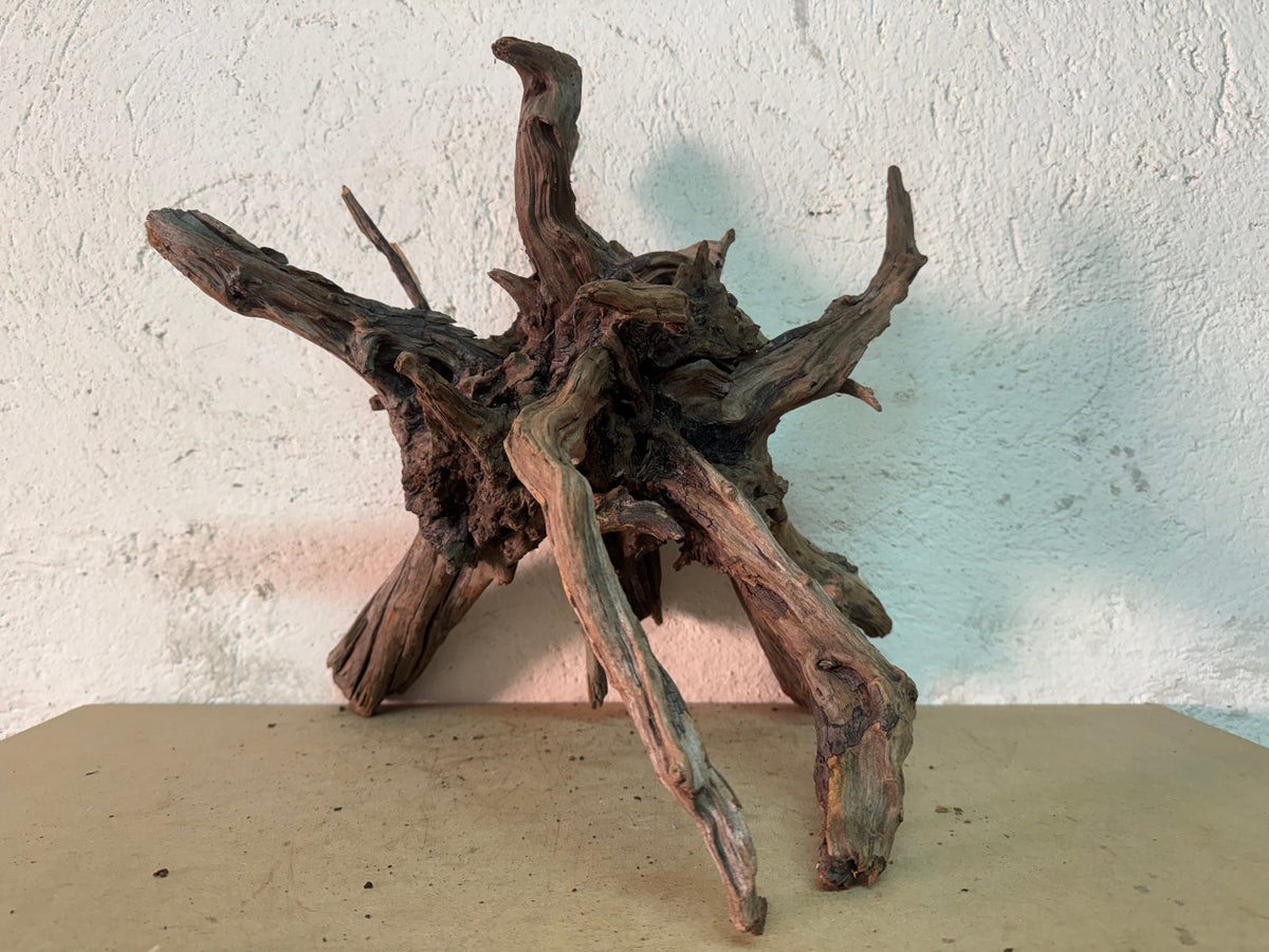 Drift Wood - 38*32*37 - cod.149 AQPET