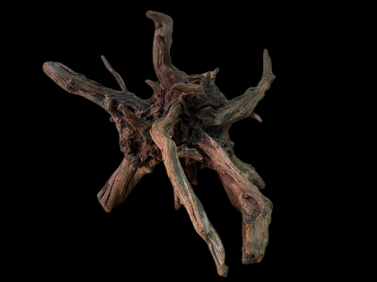 Drift Wood - 38*32*37 - cod.149 AQPET