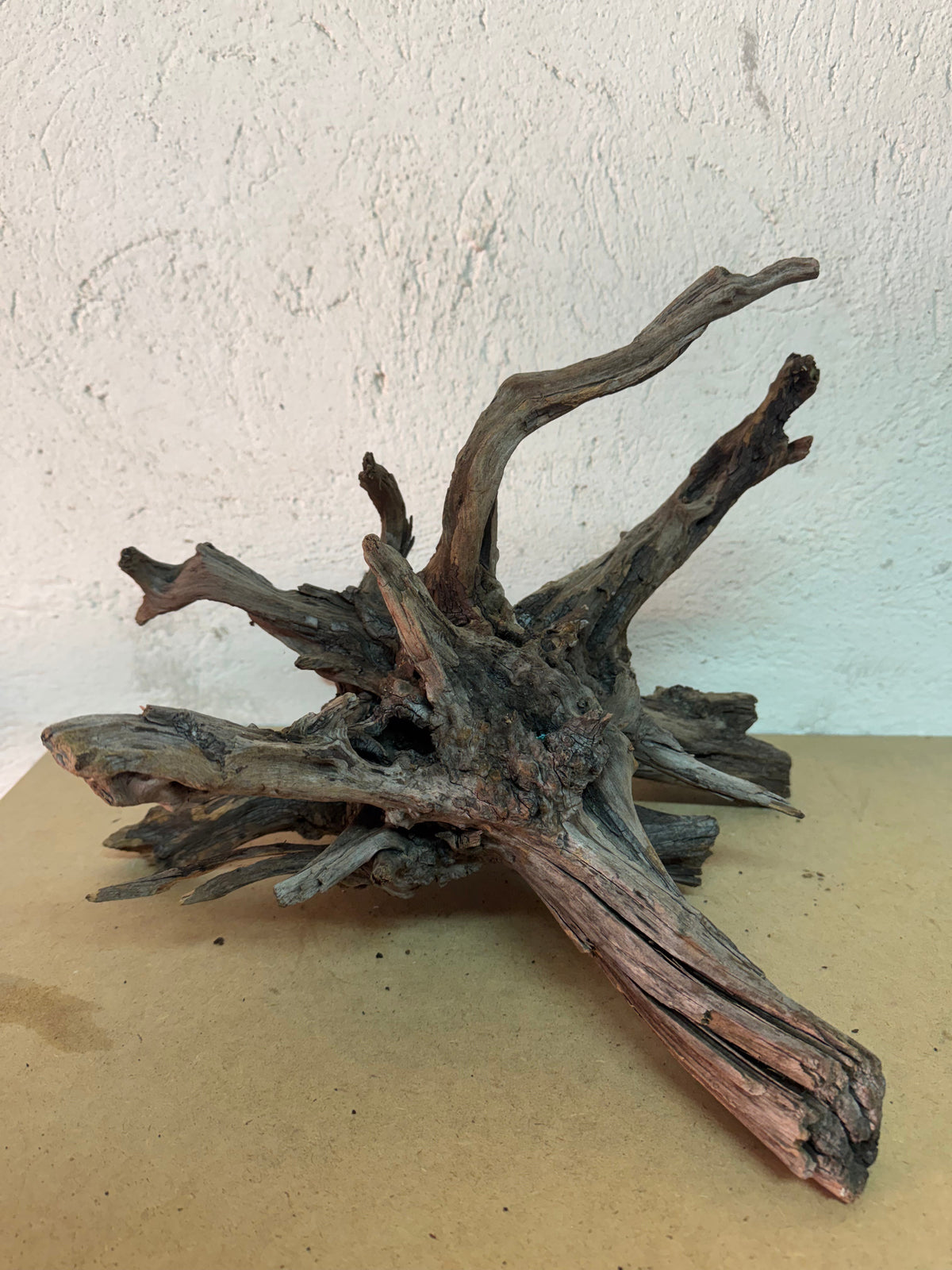 Drift Wood - 38*32*37 - cod.149 AQPET