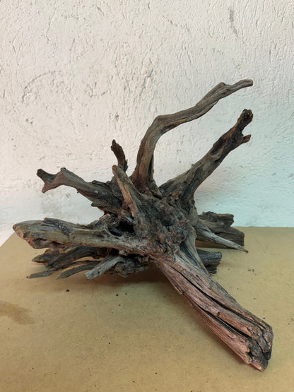 Drift Wood - 38*32*37 - cod.149 AQPET