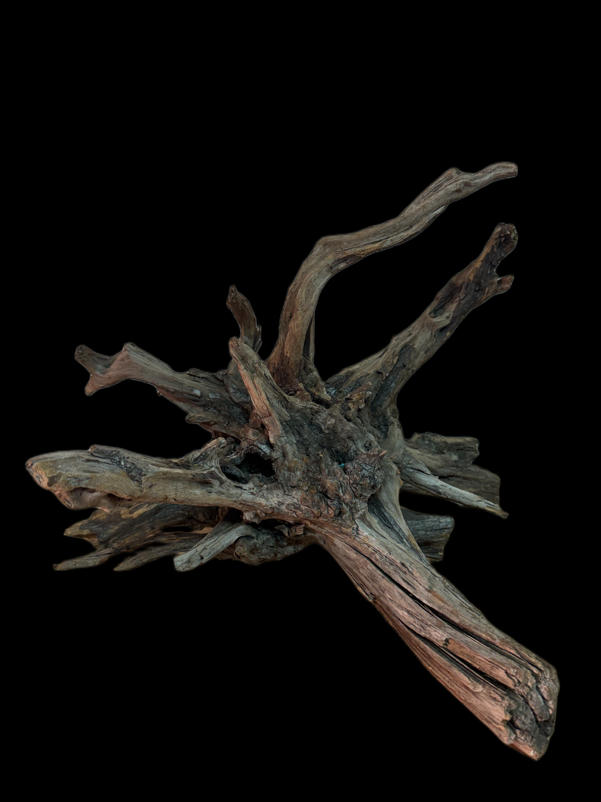 Drift Wood - 38*32*37 - cod.149 AQPET