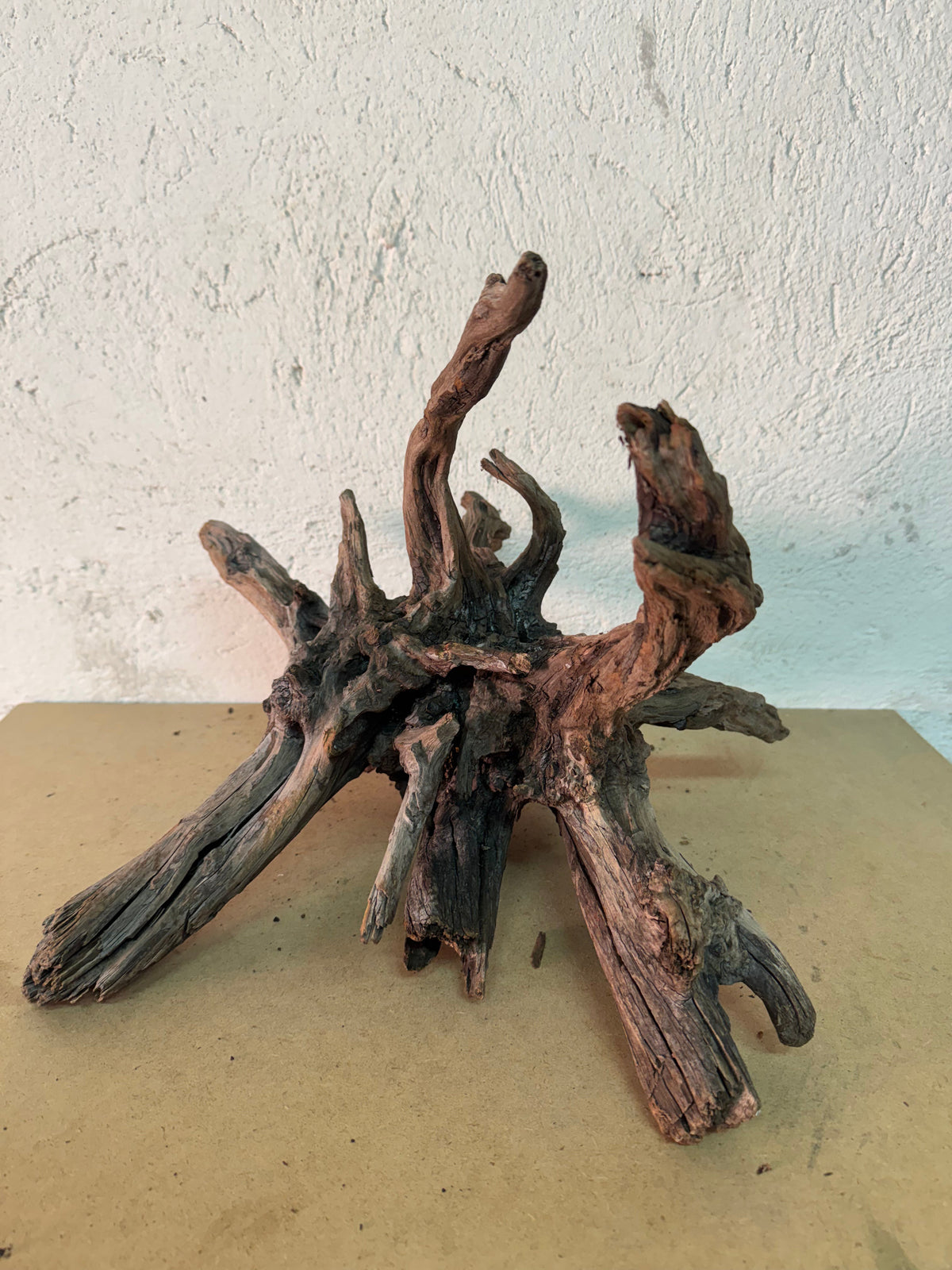 Drift Wood - 38*32*37 - cod.149 AQPET