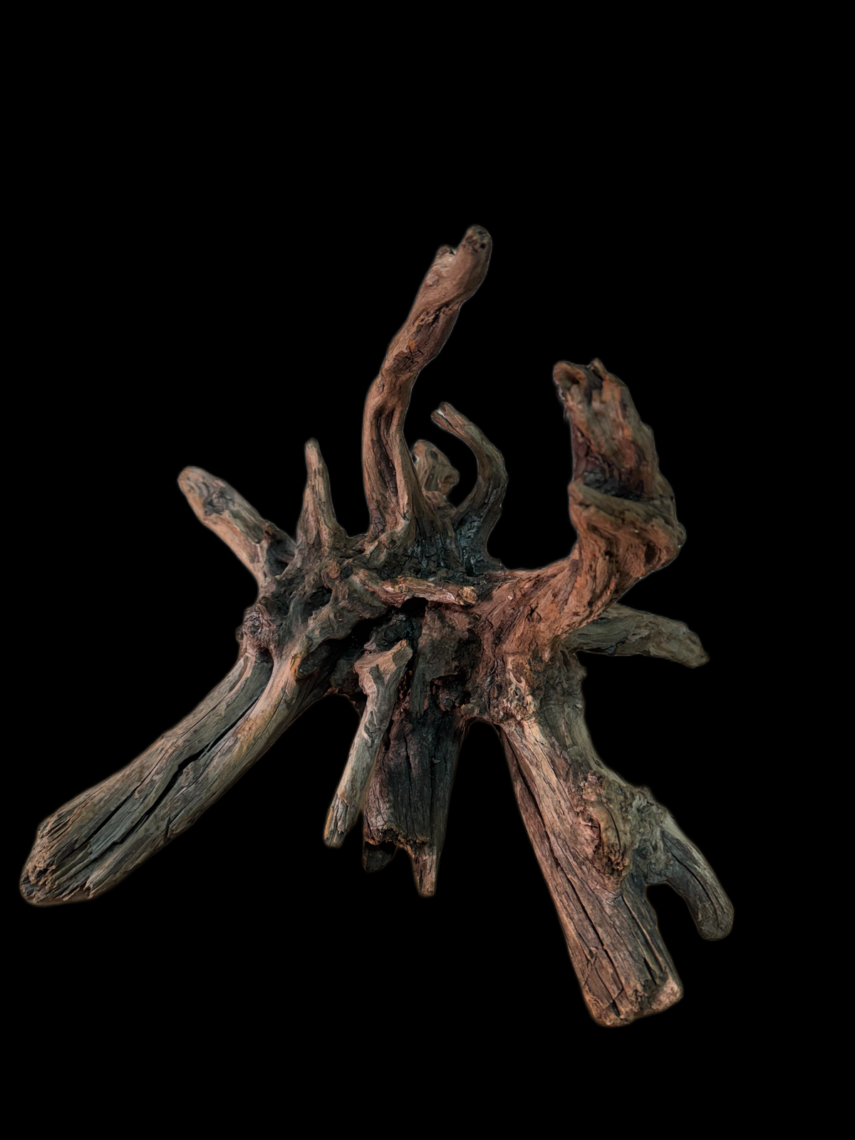 Drift Wood - 38*32*37 - cod.149 AQPET