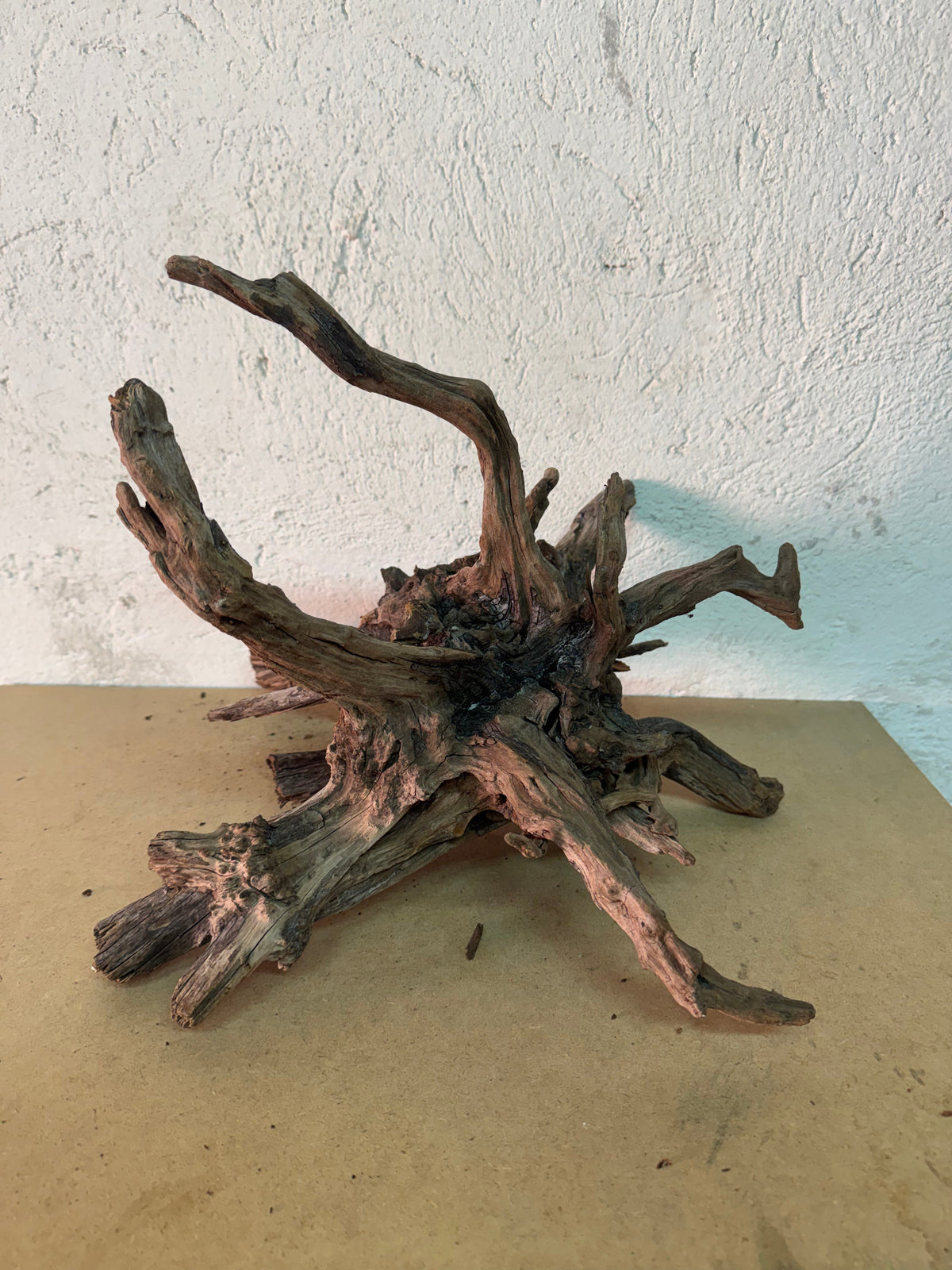Drift Wood - 38*32*37 - cod.149 AQPET