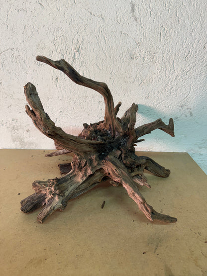Drift Wood - 38*32*37 - cod.149 AQPET
