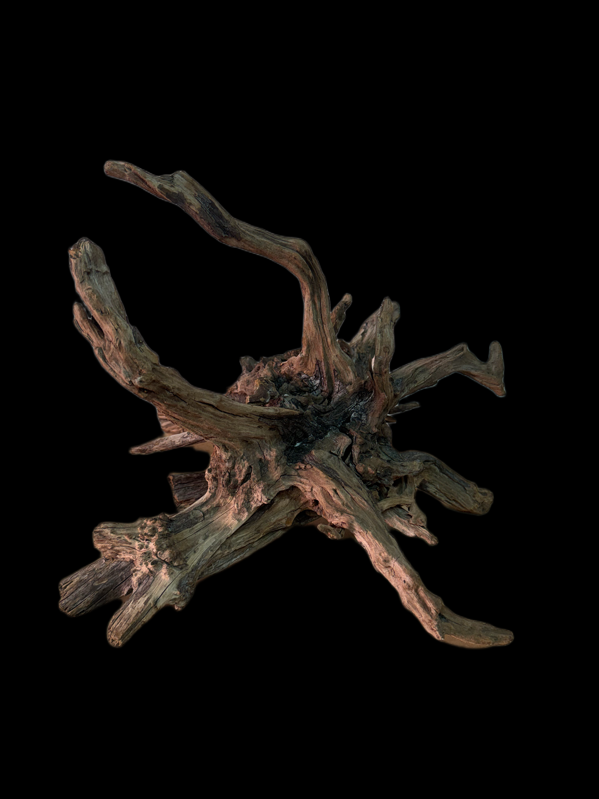 Drift Wood - 38*32*37 - cod.149 AQPET