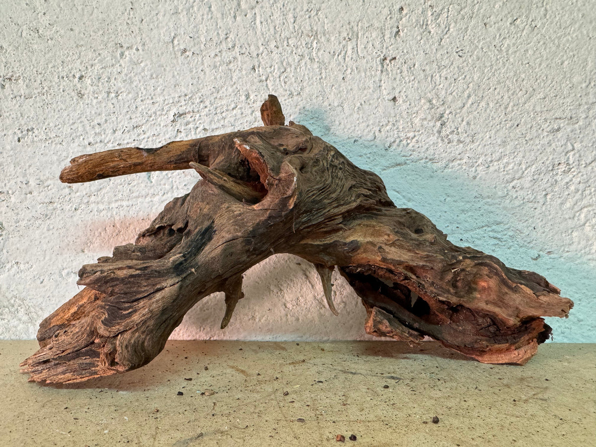 Drift Wood - 29*10*14 - cod.150 WHIMAR