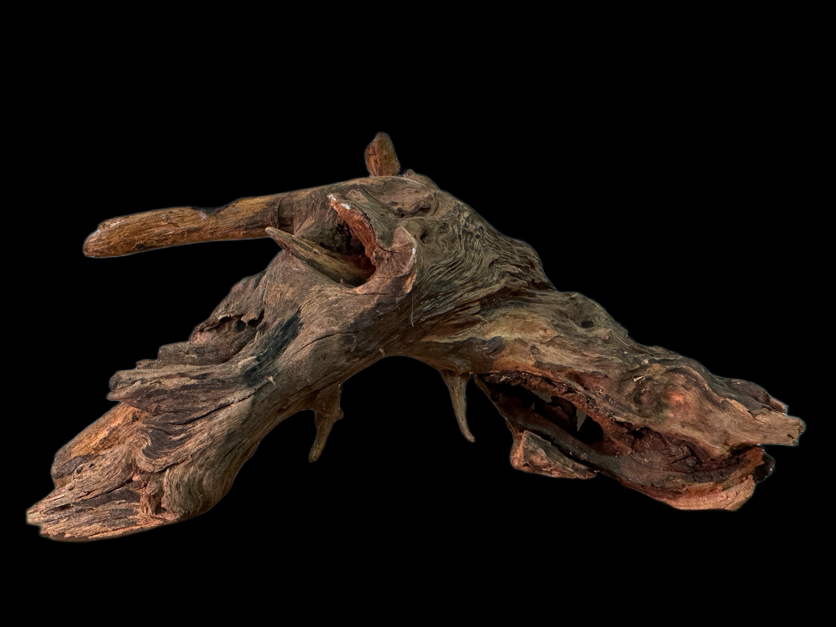 Drift Wood - 29*10*14 - cod.150 WHIMAR