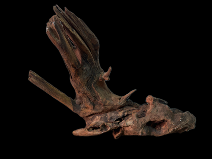 Drift Wood - 29*10*14 - cod.150 WHIMAR