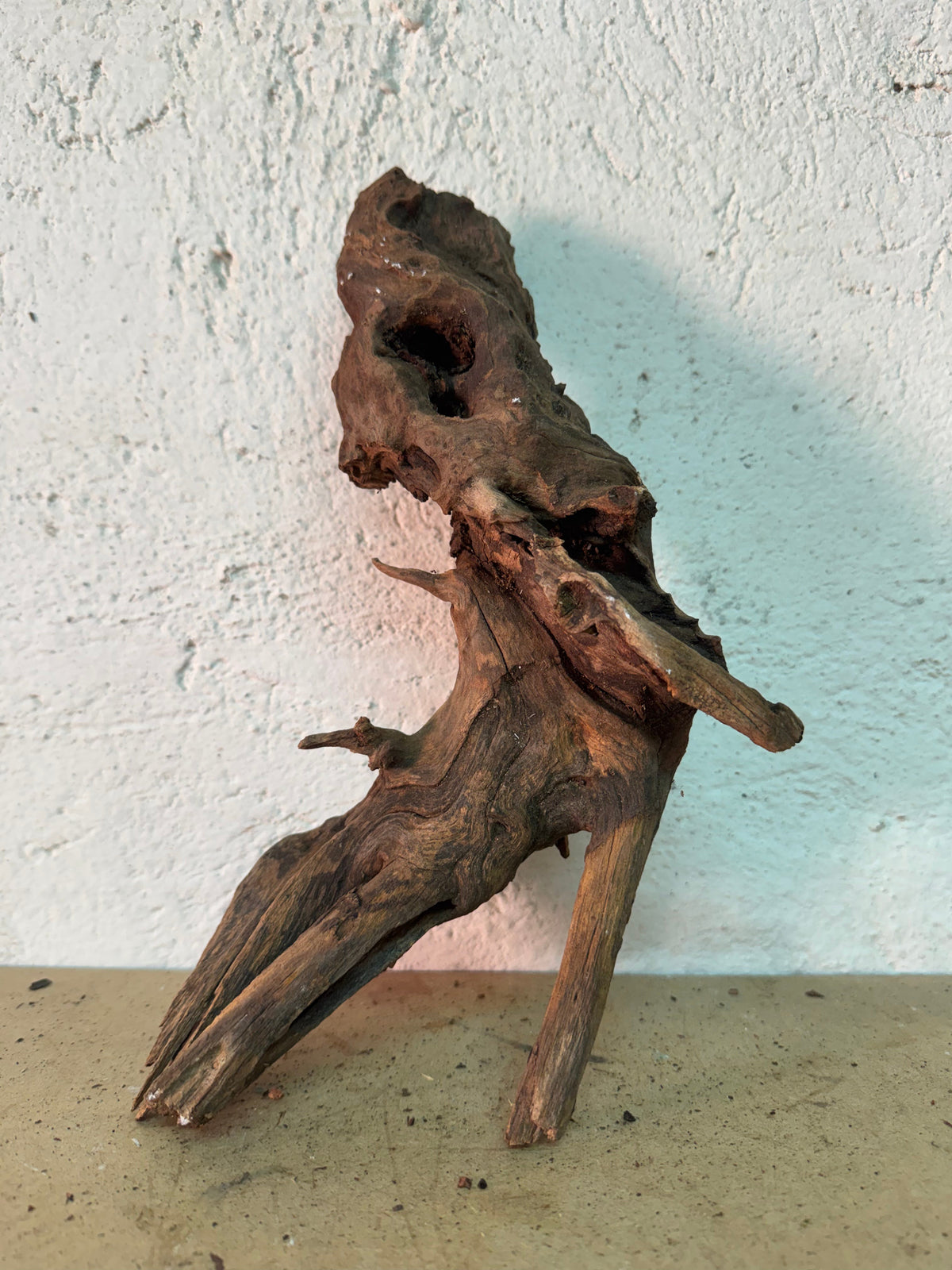 Drift Wood - 29*10*14 - cod.150 WHIMAR